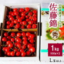 【ふるさと納税】さくらんぼ 佐藤錦 1kg （500g × 2パック） 秀品 L玉以上 バラ詰め 化粧箱入り 山形県 上山市 0012-2503