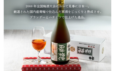 【明利酒類×肉のイイジマ】百年梅酒＆常陸牛ハンバーグ（ZZ-1）