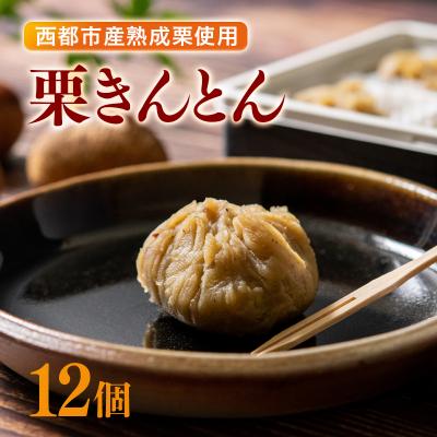 ふるさと納税 西都市 【年末発送】低温熟成栗使用!栗きんとん 6個入り×2 合計12個【先行受付】[2324]
