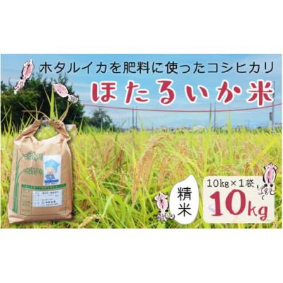 ふるさと納税 滑川市 【ほたるいか米】精米　10kg