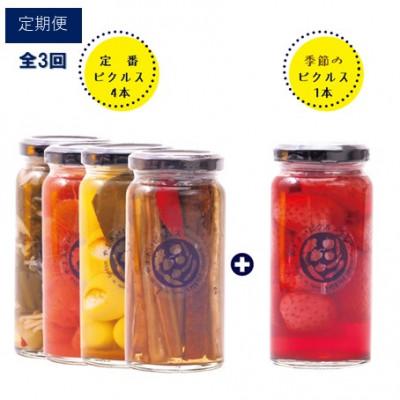 ふるさと納税 江津市 【毎月定期便】やまあいピクルス 定番4本+季節1本(おまかせ)全3回