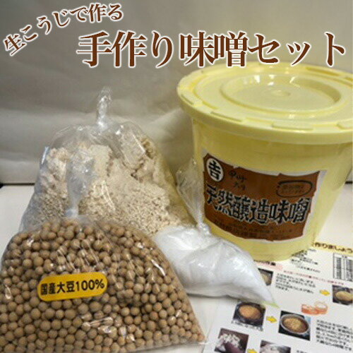 【ふるさと納税】 No.123 生こうじで作る「手作り味噌セット」4kg仕上がり ／ 調味料 みそ 麹 国産大豆 送料無料 山梨県