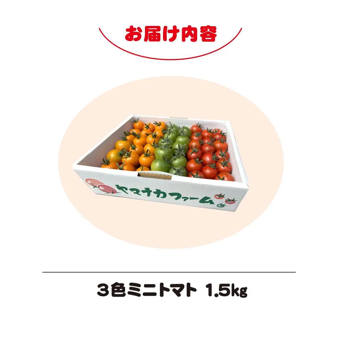 3色ミニトマト　1.5㎏ SHAK001