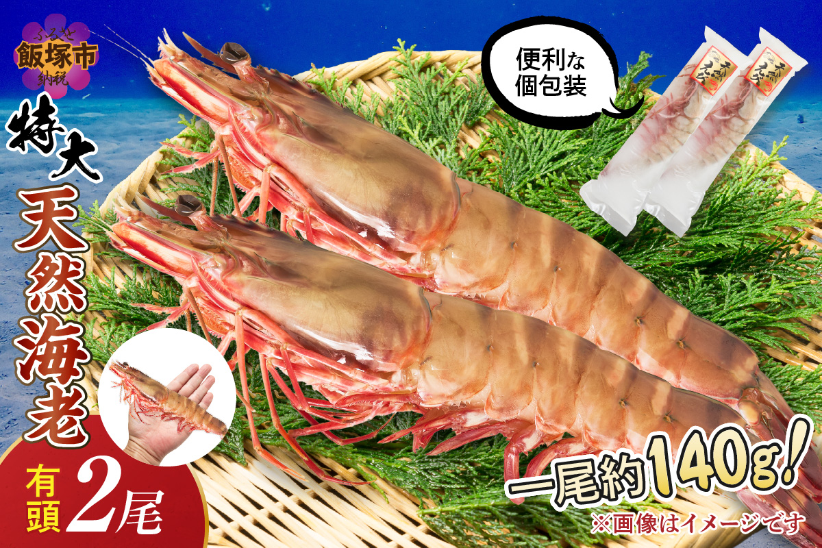 【A9-023】特大 天然海老(有頭･2尾)