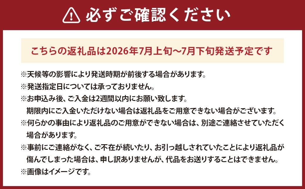 新鮮！甘い！山梨県中央市産　桃6玉～8玉「道の駅とよとみ」より厳選したものを出荷！