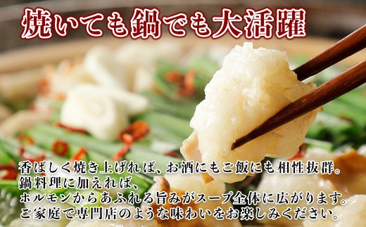 【定期便2回】希少な和牛ホルモン！ 熊本和牛 あか牛 ホルモン 500g (250g×2パック) × 2回 もつ鍋 焼肉 肉 牛肉 もつ コラーゲン 冷凍 小分け 熊本県 水上村