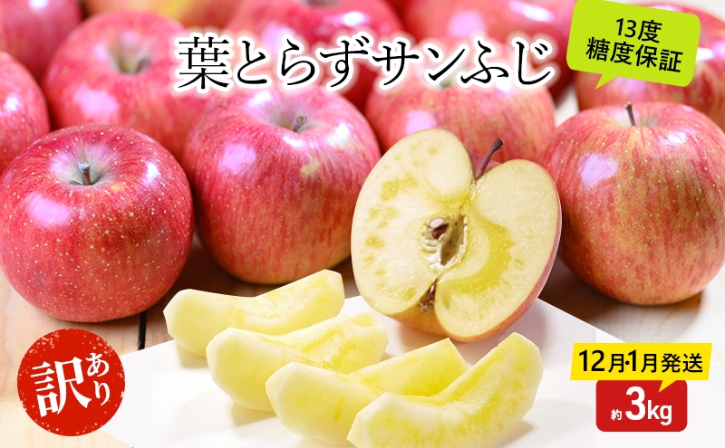 
                  [№5554-0357]りんご 【12月・1月発送】 蜜入り 糖度13度以上  訳あり品 家庭用 葉とらず サンふじ 約 3kg 【 青森りんご 】 果物 フルーツ 産地直送 糖度測定 褐変 チェック 贈り物 年末 挨拶
                