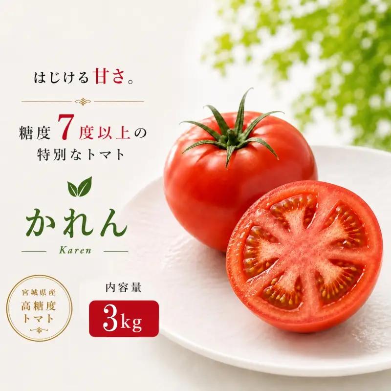 トマト【かれん】 マイルドかれん 3kg（箱満杯詰め） / 野菜 トマト【delf023】