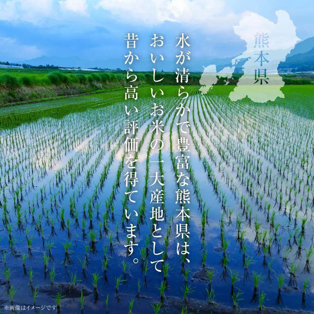精米 【先行予約】 《令和8年産》 熊本県産 きぬひかり 5kg (5kg×1袋) 【2026年9月上旬より順次発送】 精米