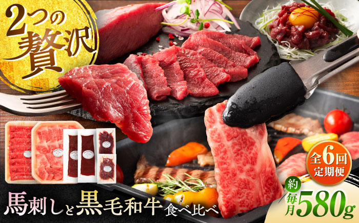 
                  【全6回定期便】「熊本特産馬刺しとくまもと黒毛和牛」フジチクオリジナル贅沢食べ比べセット 3905 /熊本馬刺し 馬刺 馬刺し ユッケ 黒毛和牛 カルビ モモ 熊本 くまもと 菊陽 バラ A4 A5 ふじ馬刺し 上赤身 スライス 人気 国産 赤身 スライス 食べ比べ たれ付き 桜肉 小分け 晩酌 定期便【株式会社フジチク】 [BHAD052]
                