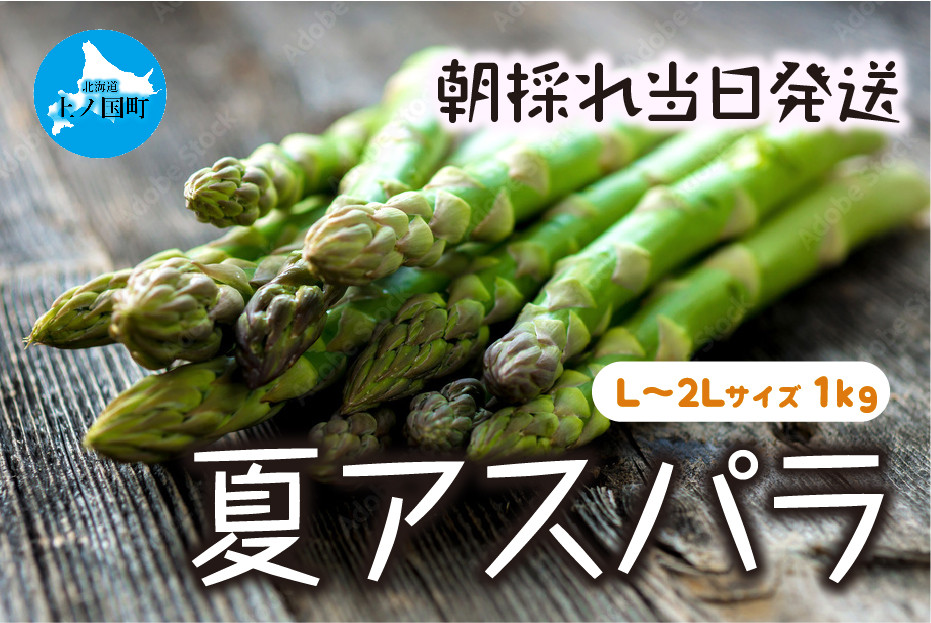 
            【2026年夏発送】わかさ農園の朝採り夏アスパラ　L～2L（1㎏）　朝採れ　農家直送　新鮮　グリーンアスパラ　夏野菜　旬野菜　シャキシャキ　とれたて　北海道産
          