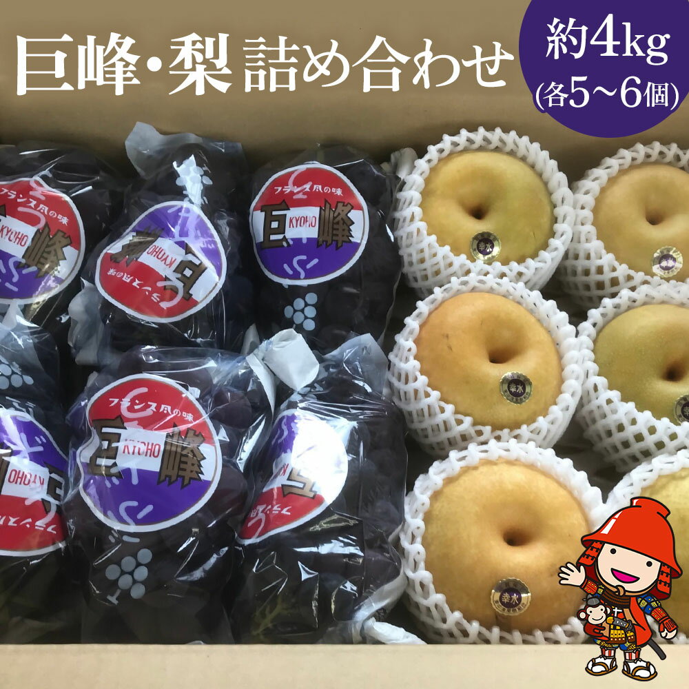 【ふるさと納税】【先行予約】糖度計使用 巨峰・梨 詰め合わせ 約4kg (巨峰5～6個、梨6個) ブドウ ぶどう 葡萄 果物 フルーツ くだもの ギフト プレゼント 贈答品 大分県産 九州産 中津市 送料無料【発送は2025年8月5日～2025年9月20日までの予定】
