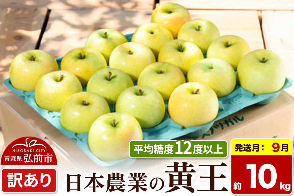 【26年9月クール便発送】りんご 黄王【訳あり】約10kg 平均糖度12度以上 青森県産 果物 フルーツ 林檎 リンゴ くだもの 不揃い 規格外 [家庭用 産地直送 アップル 青森県 弘前市]