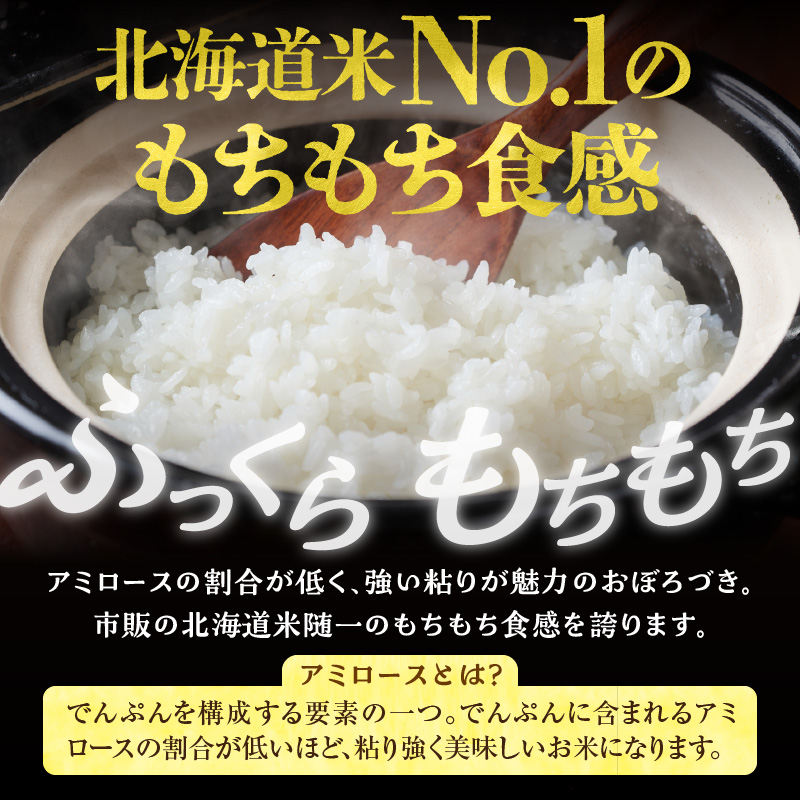 【定期便全4回】令和6年産 川越さんちの おぼろづき　10kg（5kg×2袋）毎月1回お届け 雨竜産 精米 定期便 10kg お米 お取り寄せ 北海道 雨竜町