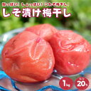 【ふるさと納税】紀州南高梅　しそ漬け梅 1kg 塩分20% 添加物不使用 / 梅 うめ ウメ 梅干し 梅干 しそ シソ しそ漬け 南高梅 紀州南高梅 和歌山県 田辺市