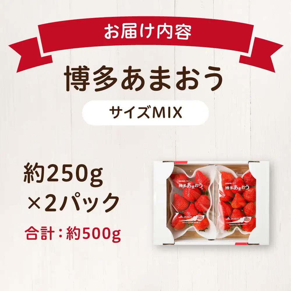【先行予約】【アフター保証】 「博多あまおう」約250g×2パック【2月上旬～3月発送】【JAほたるの里】_HA1937 ふるさと 納税 果物 フルーツ 甘い イチゴ 苺 あまおう デザート 旬 手土