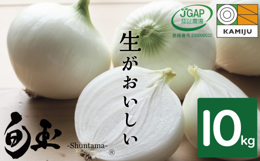 
新玉ねぎ　生がおいしい　神重農産のブランド玉ねぎ「旬玉」10㎏　H105-111
