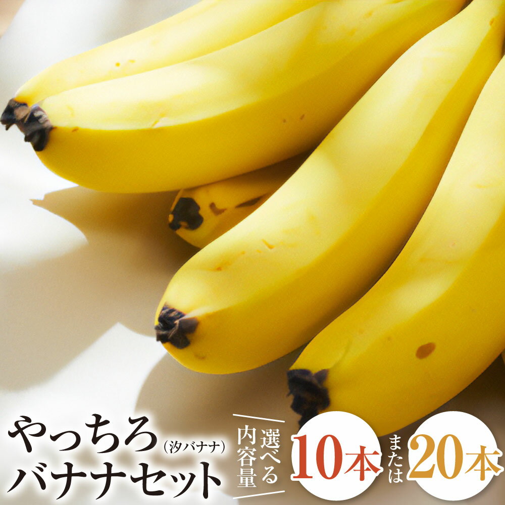【ふるさと納税】やっちろバナナ（汐バナナ） 10本・20本セット バナナ ばなな 国産 栽培期間中農薬不使用 グロスミッシェル種 皮まで食べられる 高糖度 果物 フルーツ おやつ 朝食 贈り物 ギフト 九州 熊本県 送料無料 【2025年7月下旬発送開始】