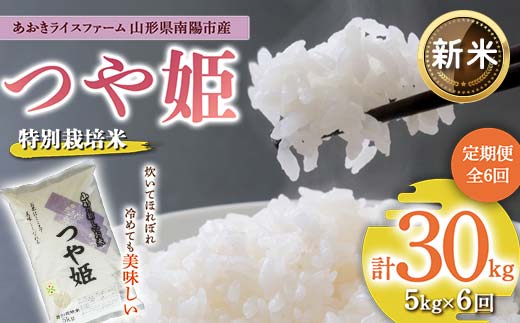 
            【令和7年産 新米 先行予約】 【金賞受賞農家】 《定期便6回》 特別栽培米 つや姫 5kg×6か月 《令和7年10月上旬～発送》 『あおきライスファーム』 山形南陽産 米 白米 精米 ご飯 農家直送 山形県 南陽市 [1608-R7]
          