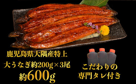 特上うなぎ 約600g (約200g×3尾) タレ付き うなぎ 蒲焼 熊本県 水上村