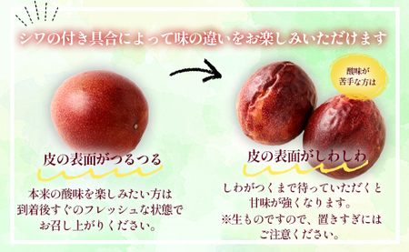  【2026年発送】先行受付 徳之島 天城町 吉川果樹園 パッションフルーツ 家庭用 4kg トロピカルフルーツ フルーツ パッション 自宅用 AB-32-N
