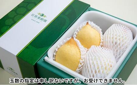 梨 2024年 先行予約 鴨梨（ヤーリー）3～5玉 約2kg 贈答箱 ナシ なし 岡山県産 国産 フルーツ 果物 ギフト 石原果樹園 [No.5220-0570]