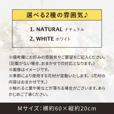 ふるさと納税 糸島市 【選べる2種】ドライフラワー 横長 スワッグ Mサイズ【ブルールーフ/アンソロジー】[AXF010] |  | 01
