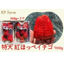 【ふるさと納税】いちご イチゴ 苺 「いちご 特大・紅ほっぺ イチゴ 350g×2p 計700g」1月下旬頃から順次発送 KP ファーム （ 掛川市 静岡 ）