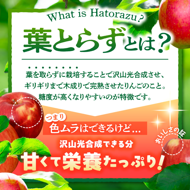 【2027年2月後半発送】【訳あり】青森県産 葉とらず サンふじ りんご 約5kg