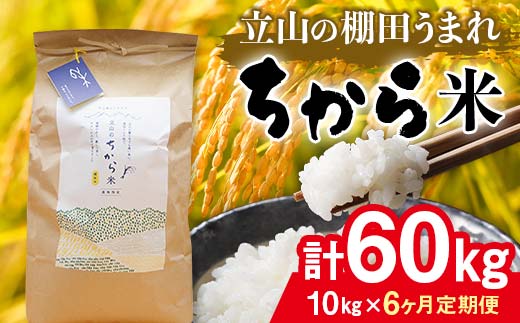 ＜定期便＞立山のちから米 コシヒカリ 各10kg ＜全6回＞ 計60kg 6ヶ月連続 10kg 定期便 定期配送 ちから米 こしひかり 銘柄米 ブランド米 国産 米 お米 日本米 ギフト 贈り物 備蓄 防災 食品 F6T-916