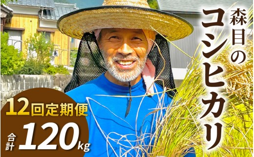 【令和8年産 新米 先行予約】【12ヶ月定期便】【玄米】福井県大野市　森目のコシヒカリ計120kg (5kg×2袋) 12回配送 |  お米 米 こめ 玄米 コシヒカリ お米 精米 玄米 白米 こめ コメ お米 2026年産 おこめ ご飯 ごはん 送料無料 国産 白飯 産地直送 R8 おいしい ふるさと納税 R8