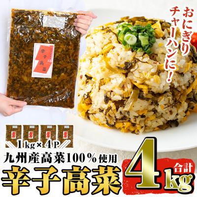 ふるさと納税 姶良市 九州産辛子高菜セット4kg(1kg×4パック) 姶良市 a568【九州新進】