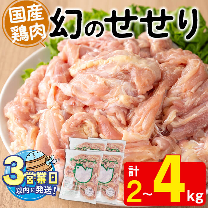 【ふるさと納税】＜すぐ届く！＞【容量が選べる！】国産鶏肉せせり(計2kg or 計4kg)肉 鶏肉 せせり 小肉 骨なし 唐揚げ から揚げ BBQ 国産 九州産 冷凍【宮下商店】