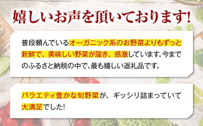 【シェフの目線】野菜 6から7種　単身・二人暮らし用セット　愛媛県大洲市/有限会社ヒロファミリーフーズ 野菜 やさい 少量セット 食べきり [AGBX043]