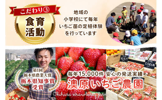 いちごの贅沢！栃木の3品種食べ比べセット 1,920g (960g×2) 《12月中旬～4月の期間で発送》 澳原いちご農園 | いちご 苺 イチゴ フルーツ 果物 産地直送 栃木県産 【12～4月の期