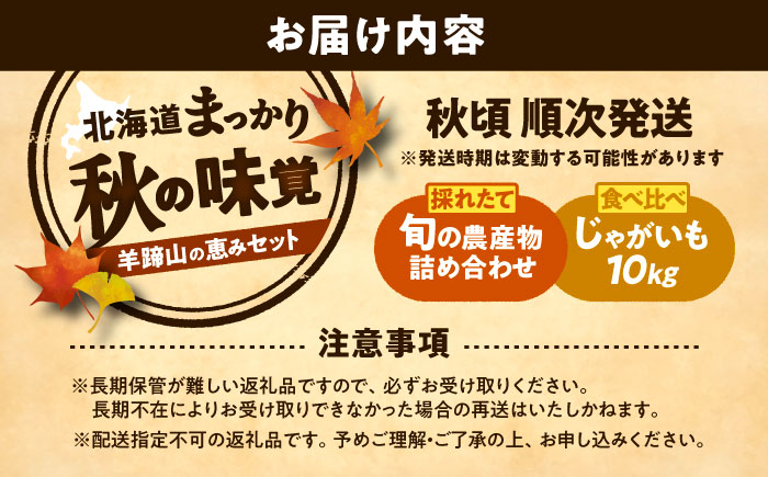 【2026年11月下旬以降発送】 秋の味覚お楽しみセット（じゃがいも10kg・旬の農産物詰め合わせ） | 野菜セット 野菜 じゃがいも 詰め合わせ 旬の野菜 セット 食べ比べ 北海道 | 道の駅 真狩フラワーセンター [BPAM004]