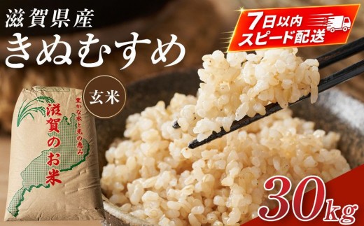 
                  【令和7年産】近江米きぬむすめ玄米30kg
                