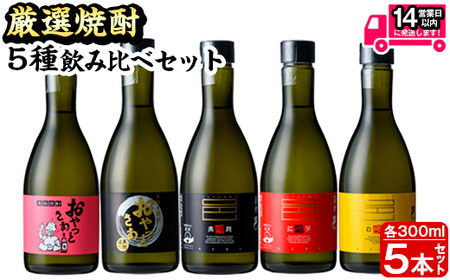 厳選焼酎のみくらべセット(300ml×5本・計1.5L) 芋焼酎 麦焼酎 飲み比べ【岩川醸造】A658