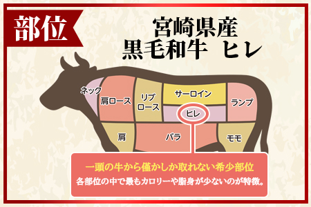 ＜宮崎県産黒毛和牛（経産牛）ヒレステーキ4枚＞(計約600g・約150g×4P)マキシマムスパイス(小袋)付き 国産 九州産 牛肉 精肉 ヒレ フィレ 赤身 希少部位 ステーキ 焼肉 アウトドア 調味