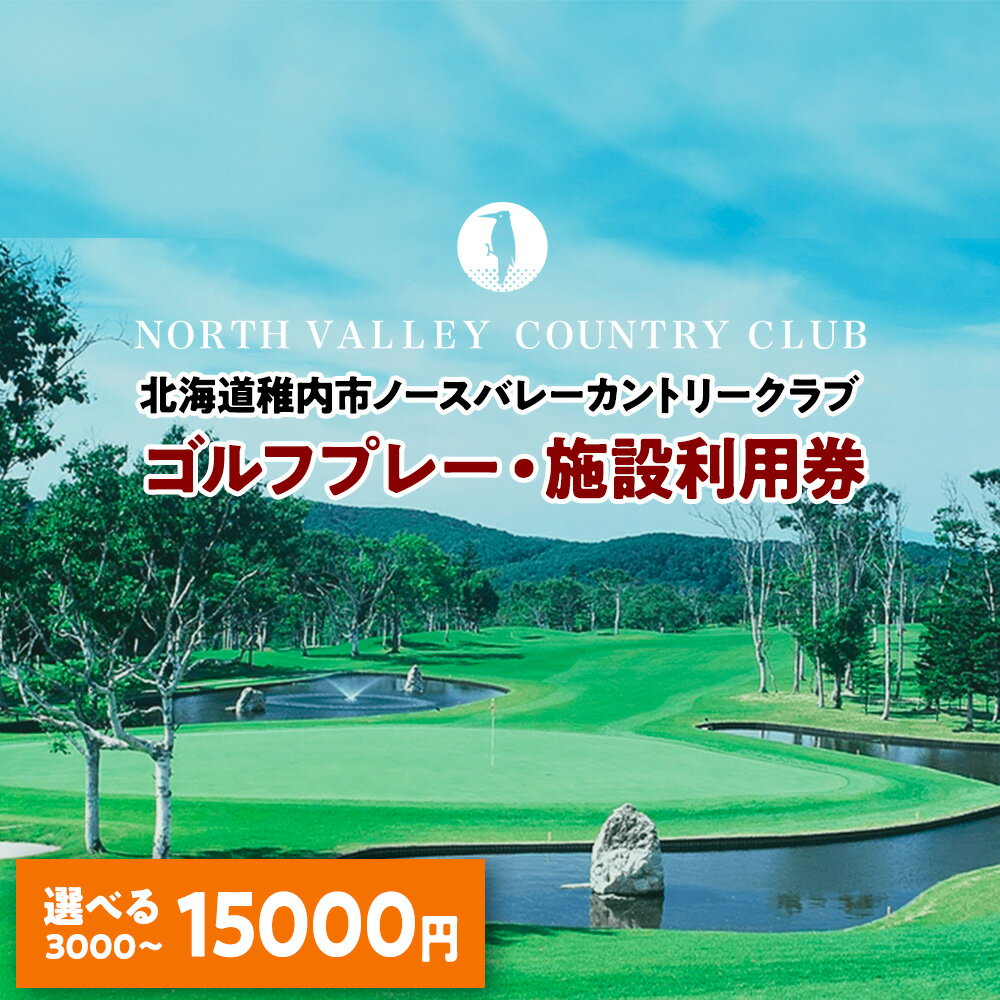 【ふるさと納税】ゴルフプレー・施設利用券 1000円×[3枚、6枚、9枚、12枚、15枚]ゴルフ スポーツ チケット 利用券 施設 アクティビティ 北海道ふるさと納税 稚内 ふるさと納税 北海道 【配送不可地域：離島・沖縄県】