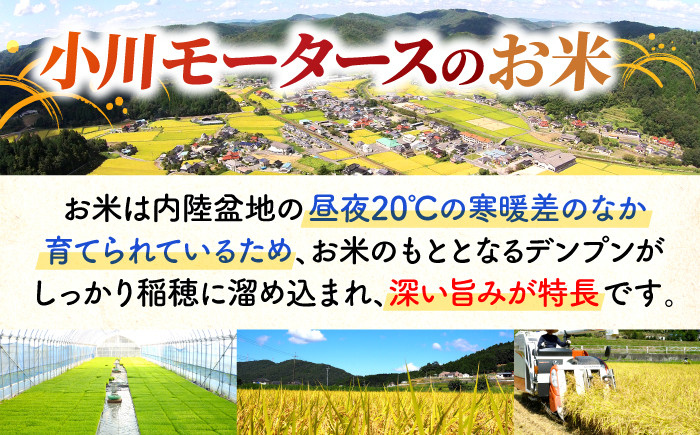玄米を真空パックに！農薬・化学肥料5割以下！広島県認証の特別栽培米コシヒカリ