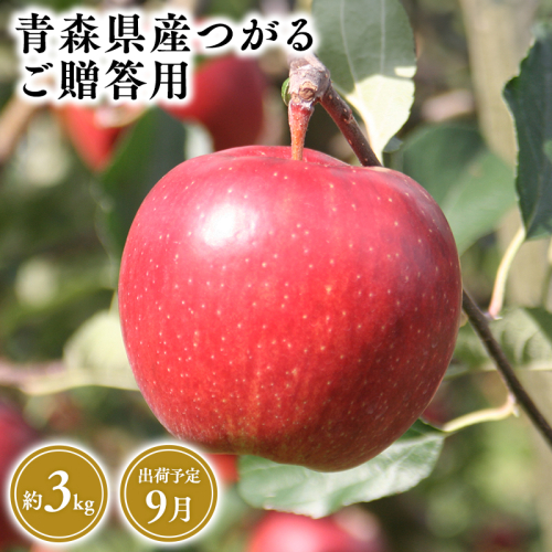 2026年産9月発送　贈答用つがる3ｋｇ　【そと川りんご園・9月・青森県産・平川市・りんご・つがる・3ｋｇ・贈答用】