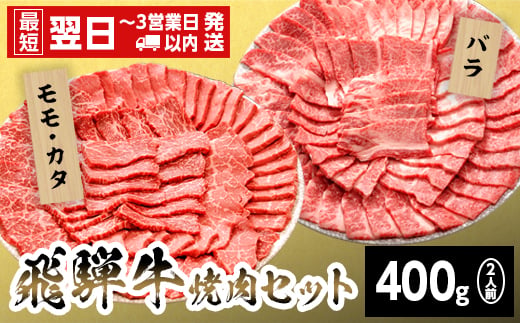 
                  【発送時期が選べる】飛騨牛 贅沢！焼肉セット 2人前 400g  牛肉 和牛 肉 焼肉 BBQ キャンプ バーベキュー 霜降り カルビ 赤身 モモ カタ 東白川村 岐阜 岐阜県産 養老ミート
                