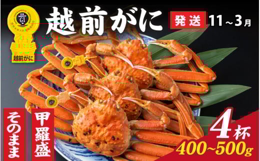 【先行予約】選べる！美味しさ直送【成前特選】 越前がに（400g～500g）×4杯【11月～3月発送】 甲羅盛 [O-028067_07]