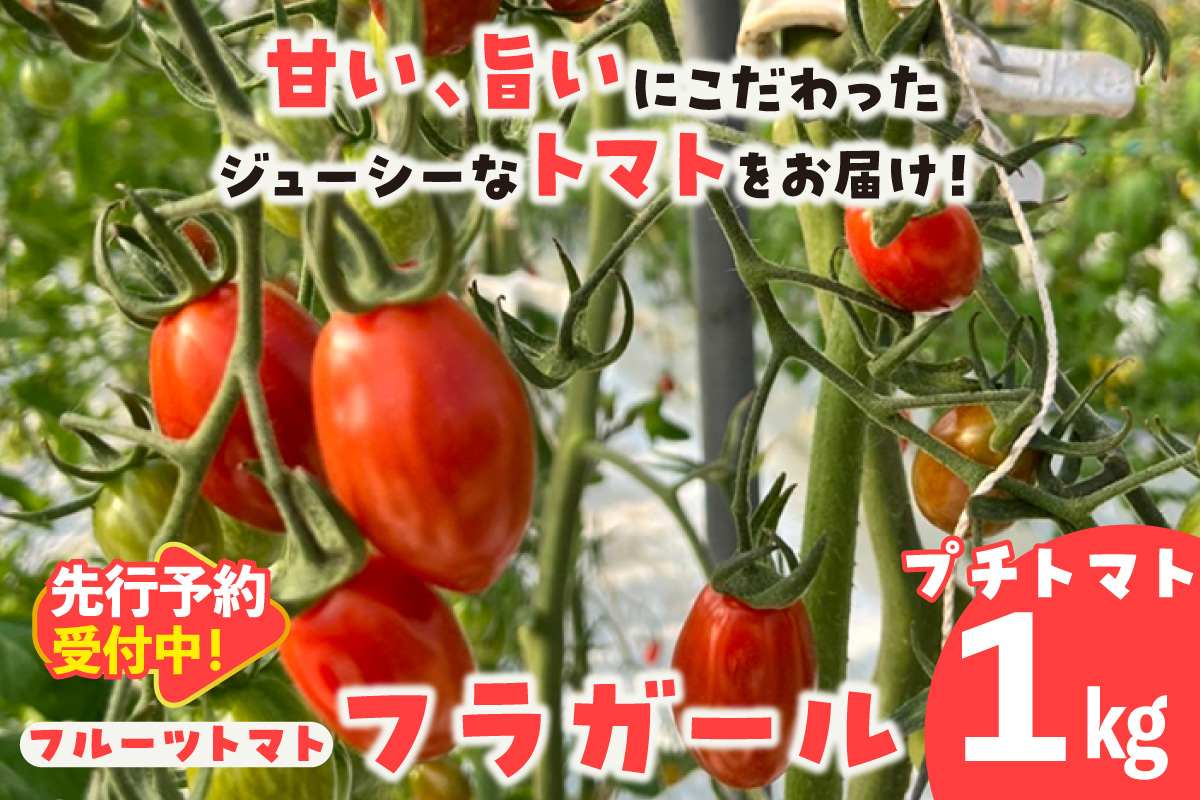 【先行予約】【2027年1月中旬以降発送】フルーツトマト　フラガール1kg（へたなし）