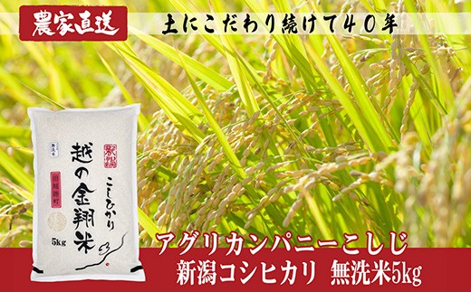 
                  J8-7MN051E【越の金翔米】新潟県長岡産コシヒカリ無洗米5kg（特別栽培米）
                