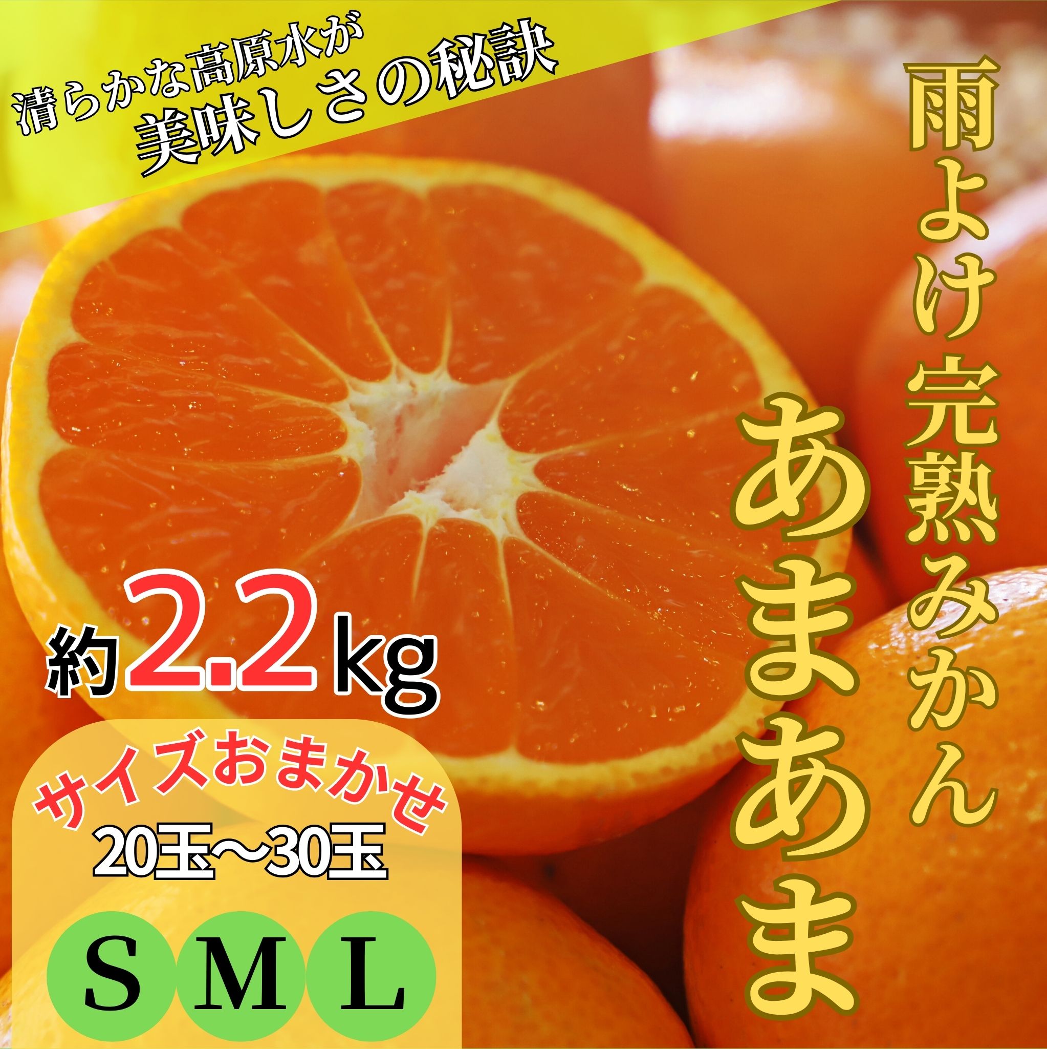【ふるさと納税】雨よけ完熟みかん「あまあま」《12月下旬-1月下旬》【配送不可地域あり】※離島不可　みかん ミカン 蜜柑 早生 柑橘 佐那河内 徳島県 箱入り 化粧箱 S M L フルーツ 果物 くだもの 贈答 進物