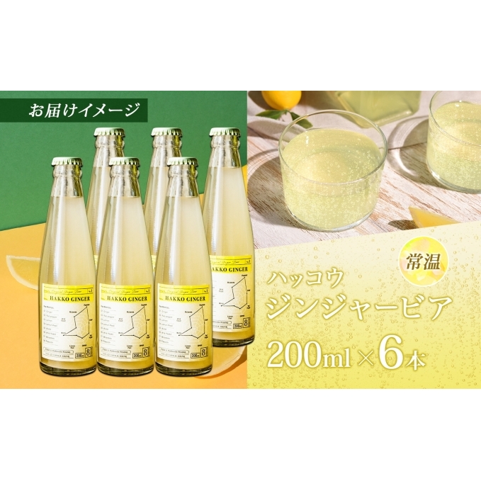 北海道 自家製 ジンジャービア 200ml×6本 HAKKO GINGER 発酵 ジンジャー ビール 生姜 レモン 辛口 ノンアルコール 炭酸 ヘルシー 野菜飲料 野菜ジュース 飲料類 炭酸飲料 _イ