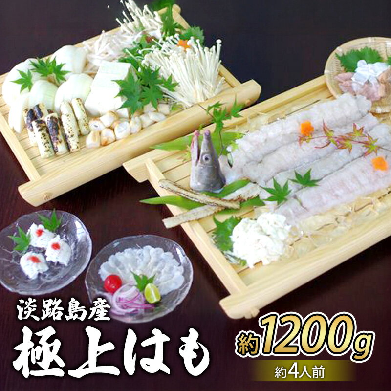 【ふるさと納税】ハモの本場 淡路島産 極上 はも 約4人前 鱧 魚介 魚介類 海鮮 海鮮セット 兵庫県 洲本市 淡路島　お届け：5月中旬～11月下旬