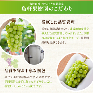 《 先行予約 / 令和7年産 》【 定期便 】 山形県産 大玉シャインマスカット 700g (1房)　2回〔 9月下旬頃 ～ お届け 〕 ぶどう 白ぶどう 2025年産